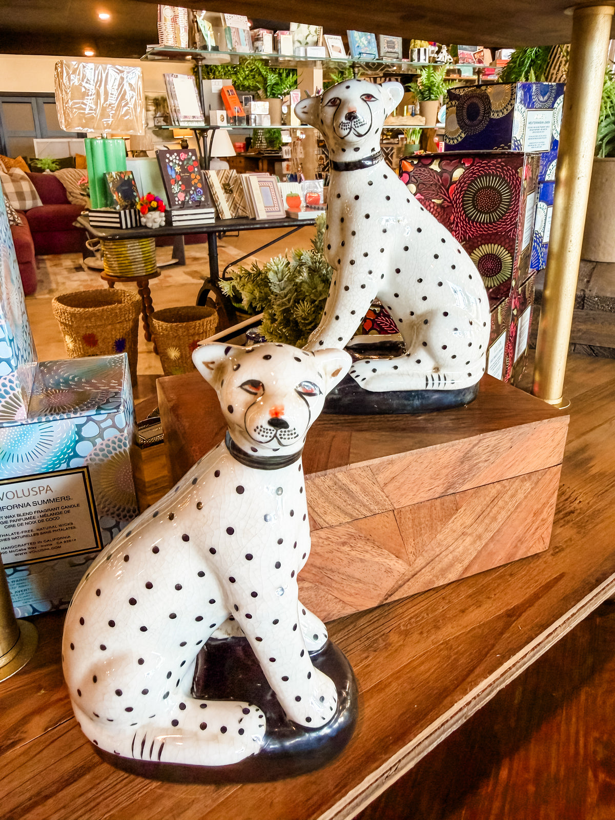 Cheetah Bookends Set Of 2