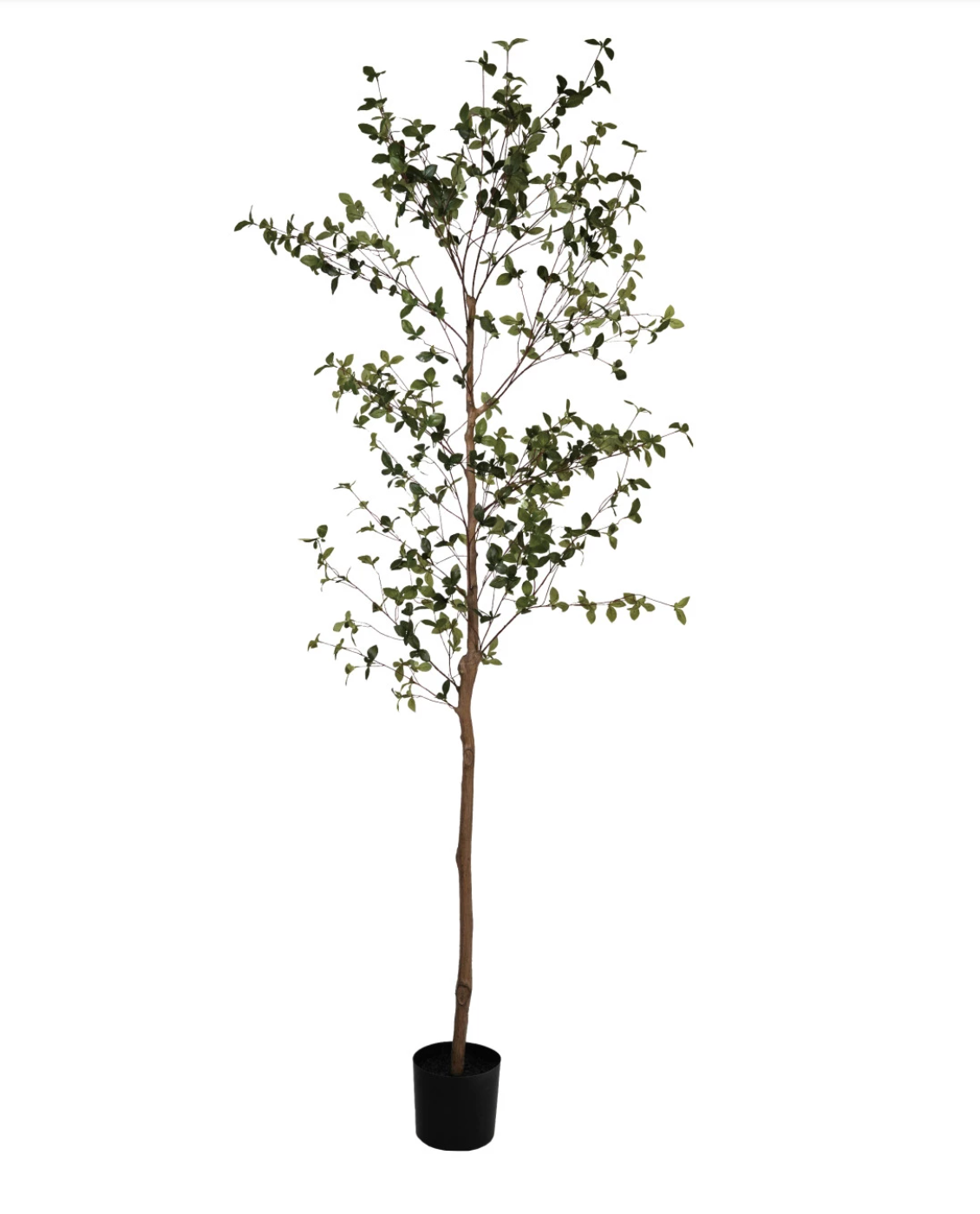 Faux Ficus Tree