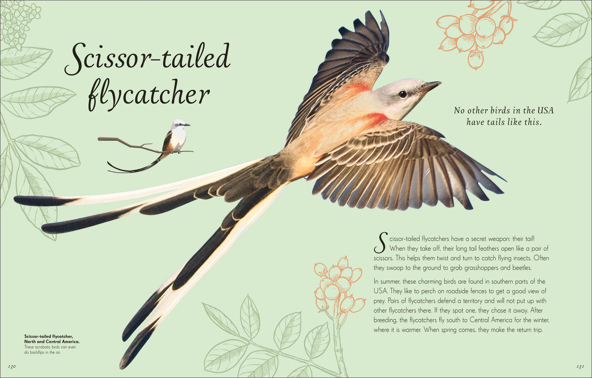 Anthology Birds Book
