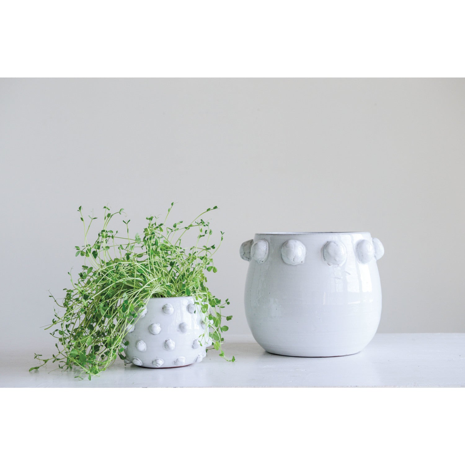 Small White Terra-Cotta Raised Dot Pot
