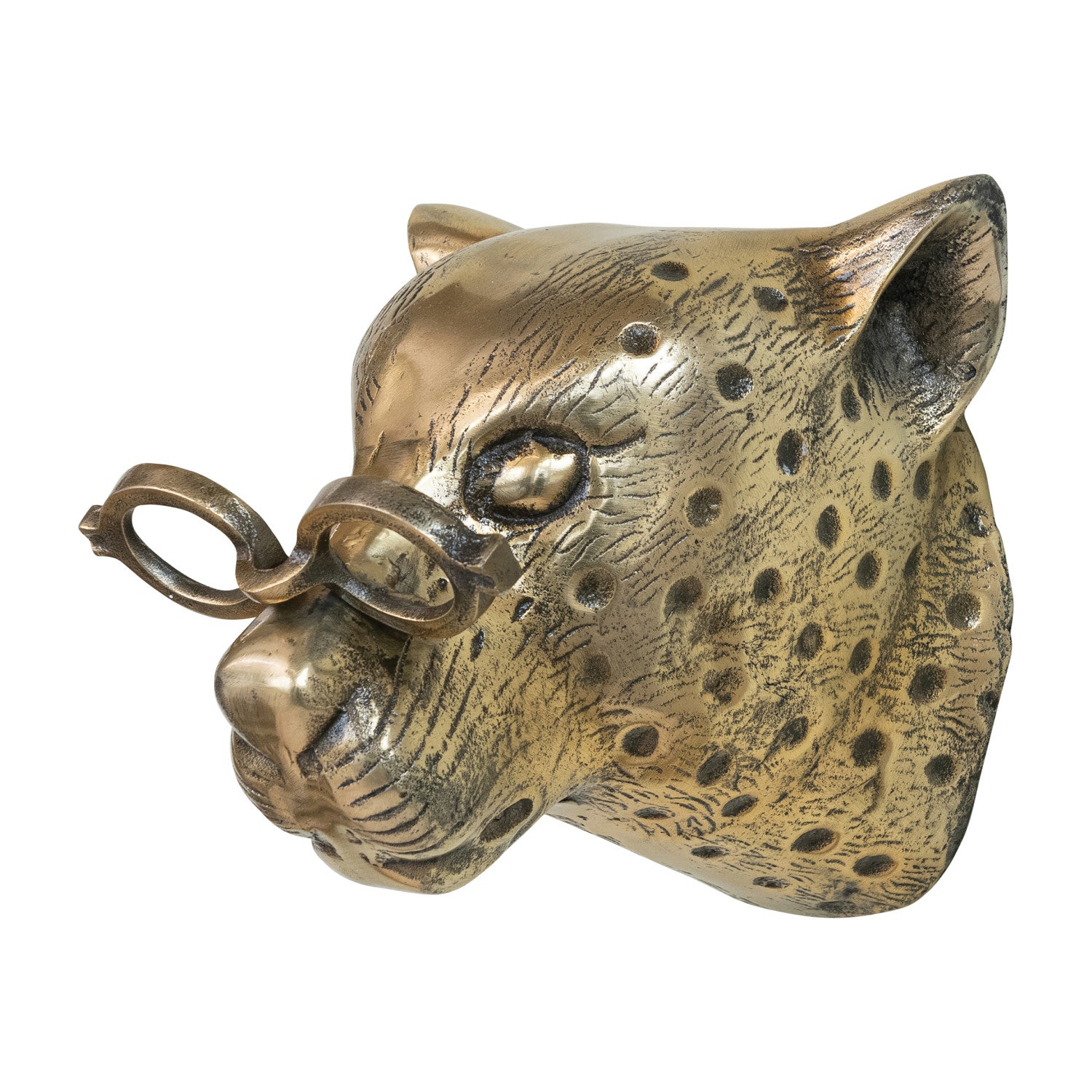 Aluminum Leopard Head