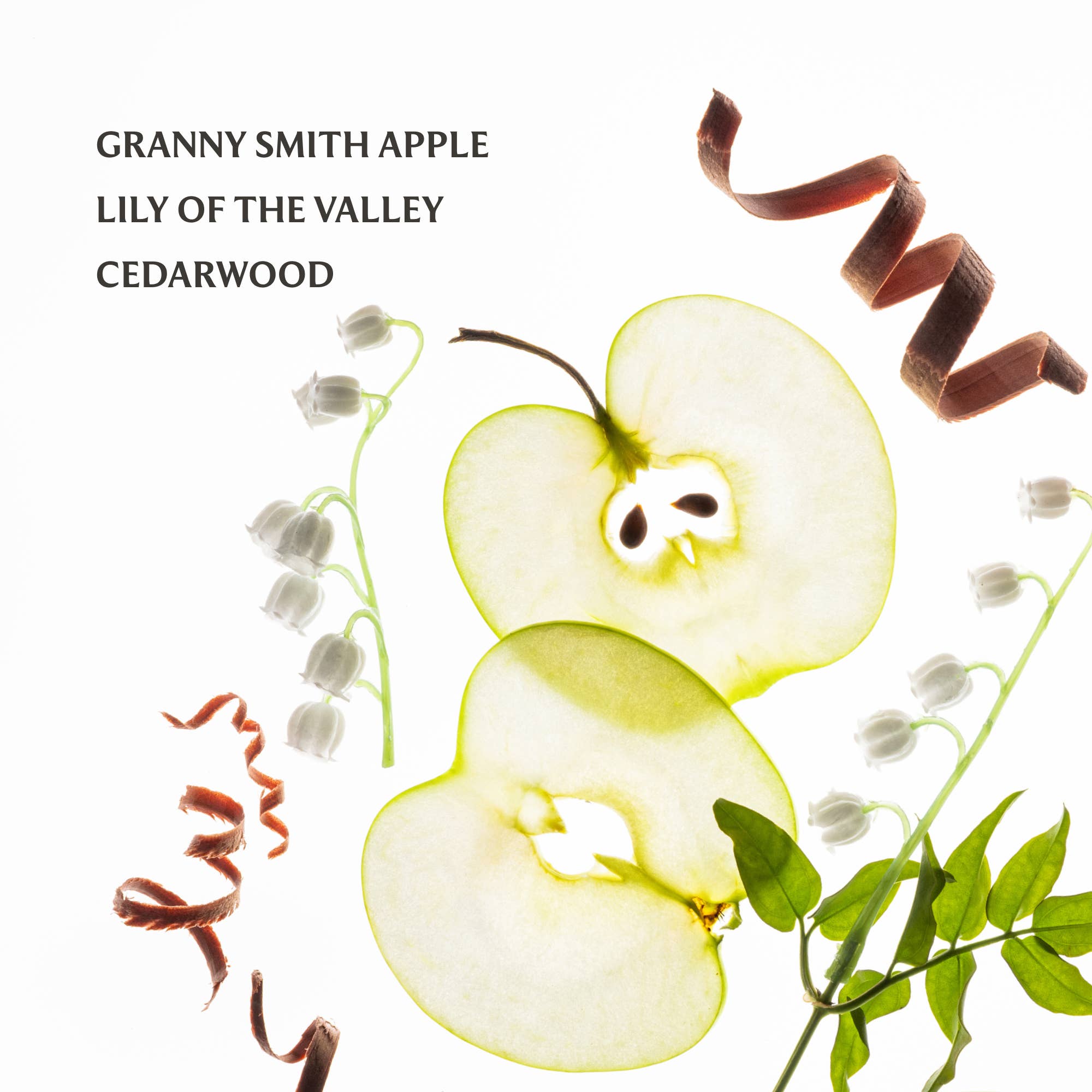 Touchland Hand Sanitizer Spray- Applelicious