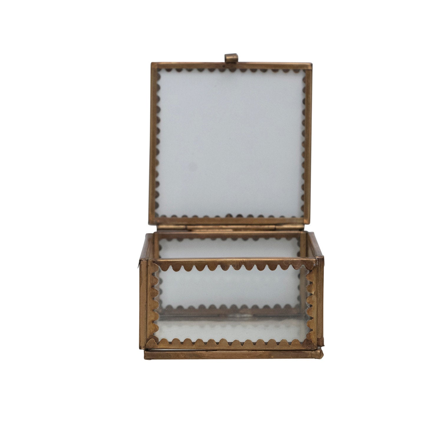 Small Brass & Glass Display Case W Scalloped Edges