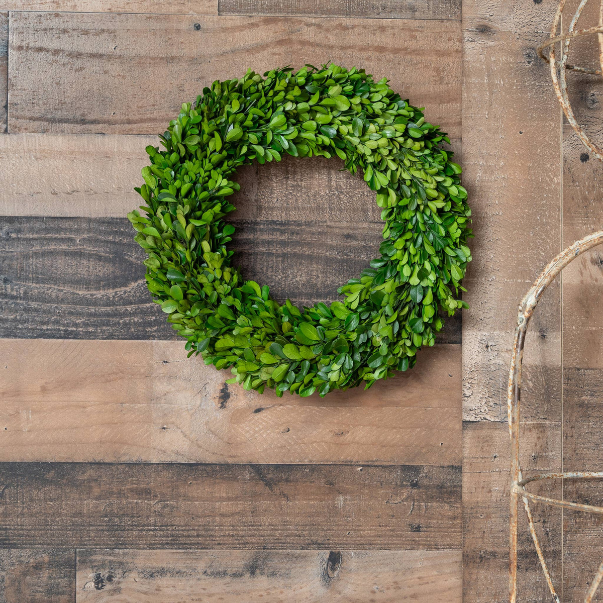 Preserved Boxwood Country Manor Wreath (14in)