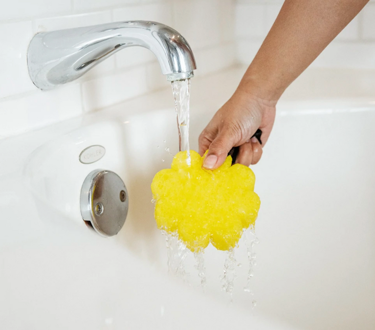 Spongelle Wildflowers Papaya Yuzu