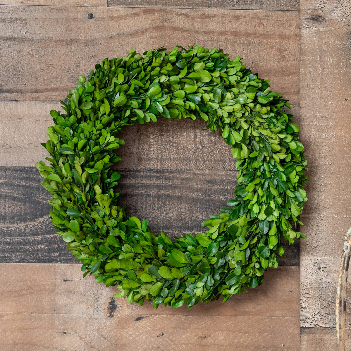 Preserved Boxwood Country Manor Wreath (14in)