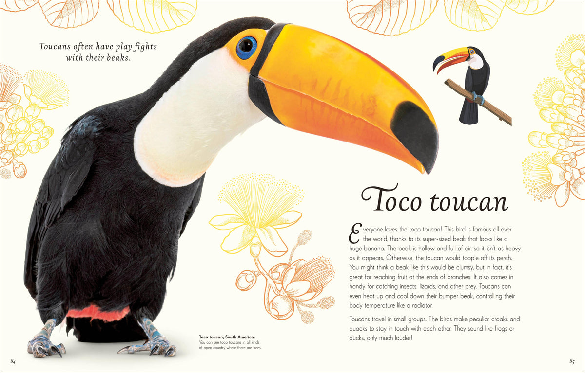 Anthology Birds Book