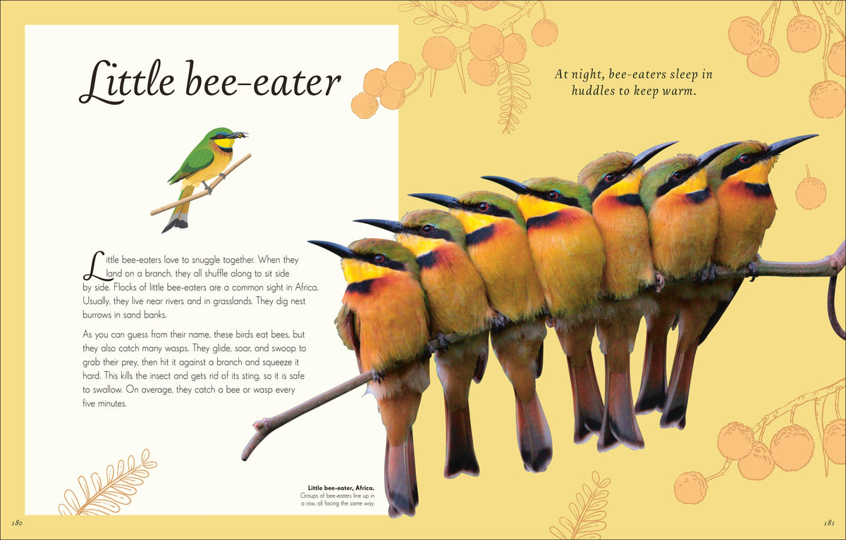 Anthology Birds Book