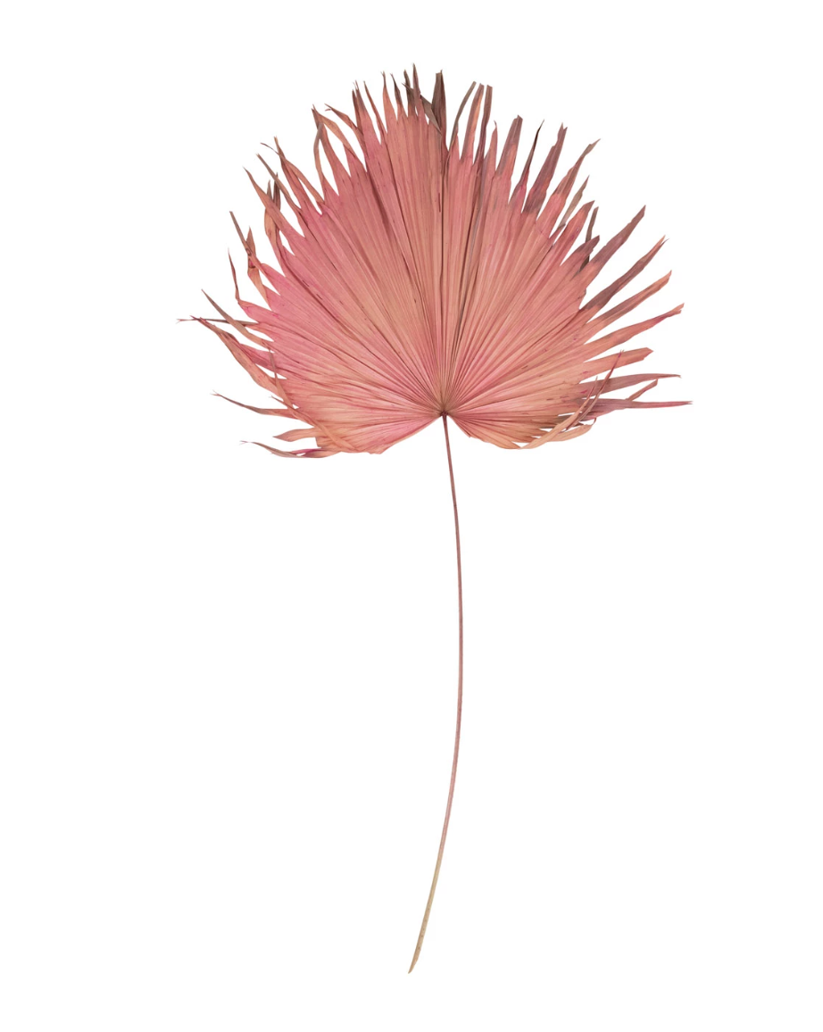 Pink Dried Palm Leaf
