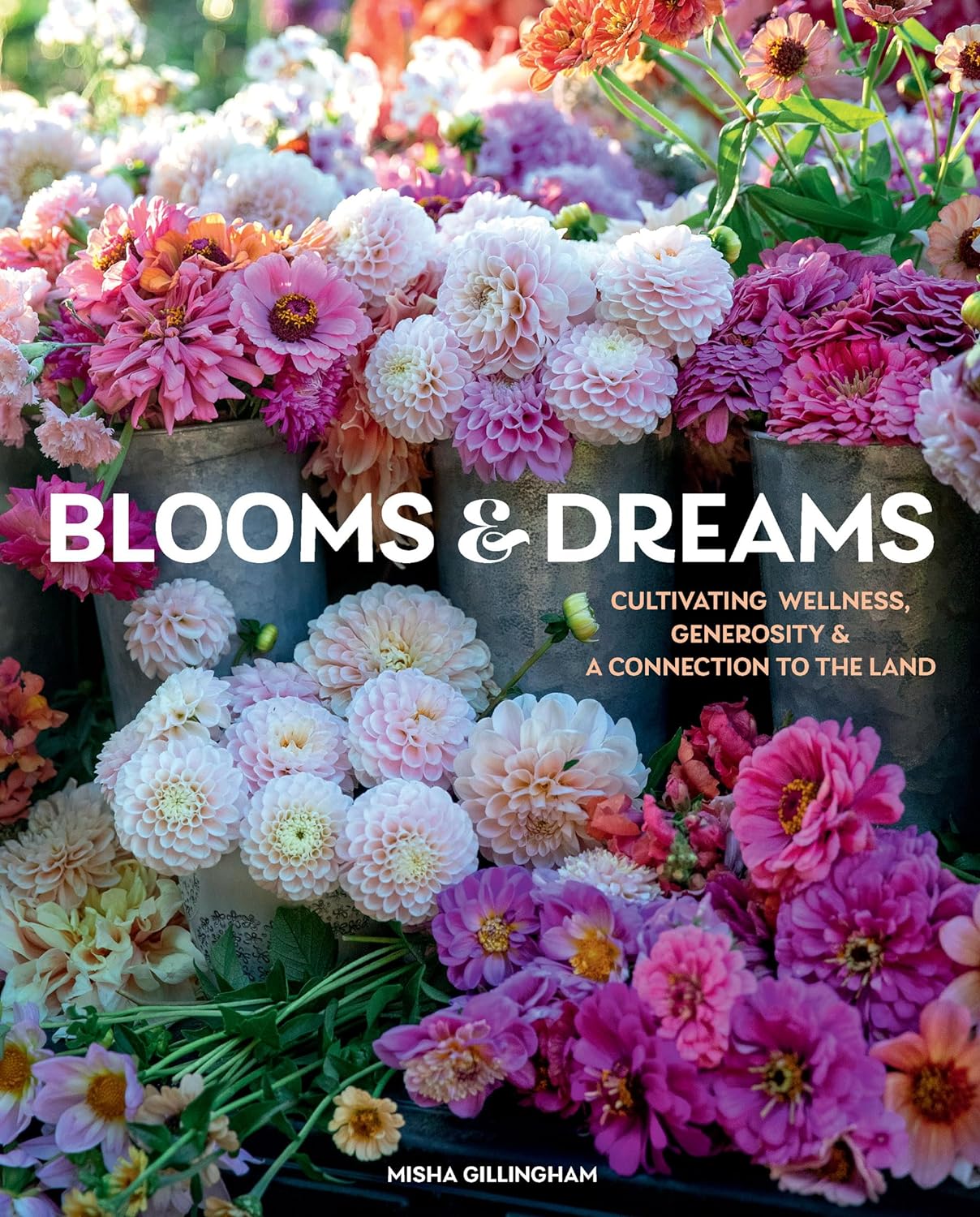 Blooms & Dreams - by Misha Gillingham (Hardcover)