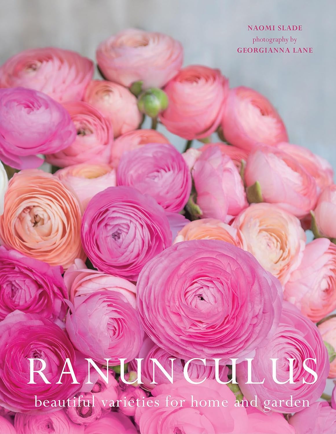 Ranunculus - by Naomi Slade (Hardcover)