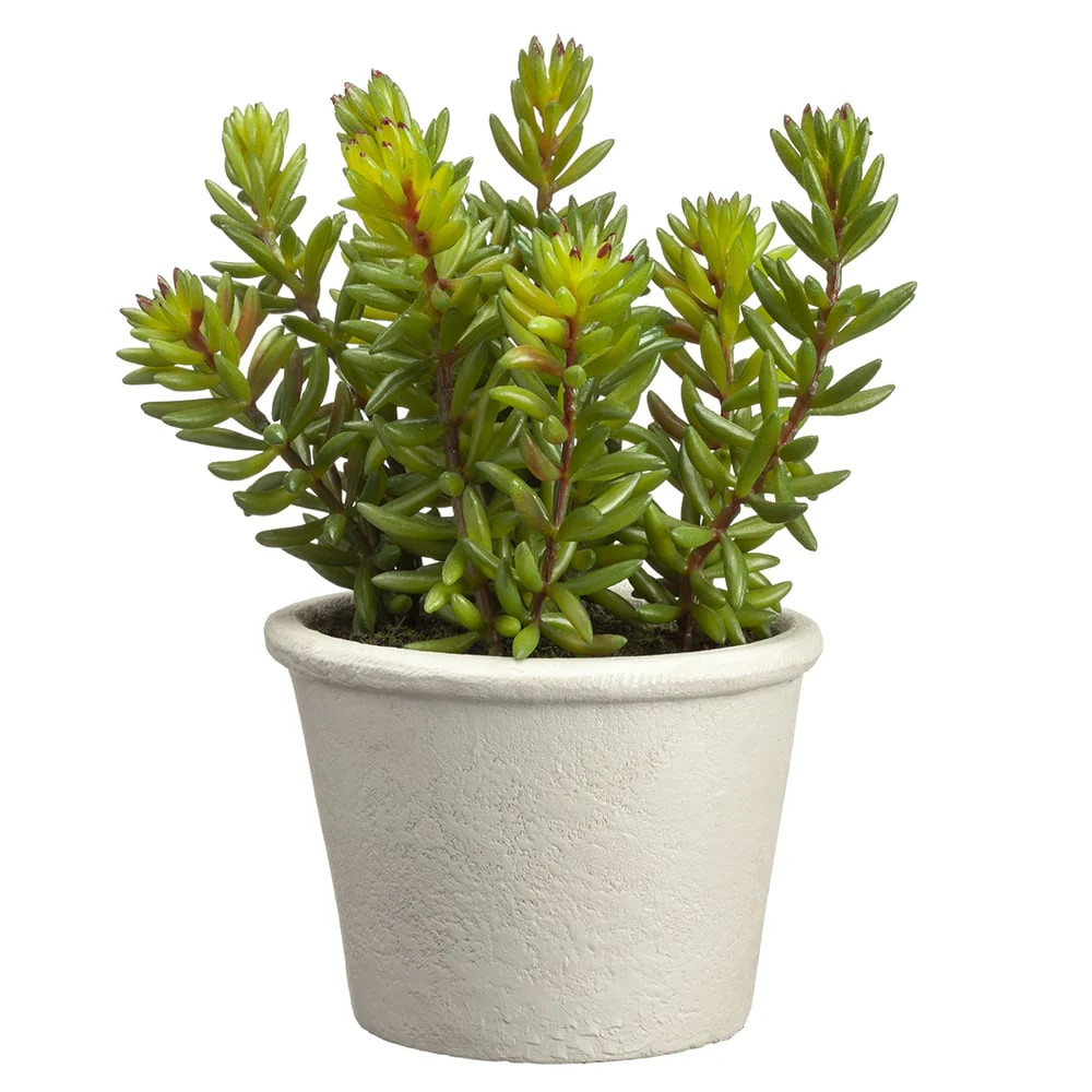 7" Artificial Stonecrop Sedum Succulent Plant