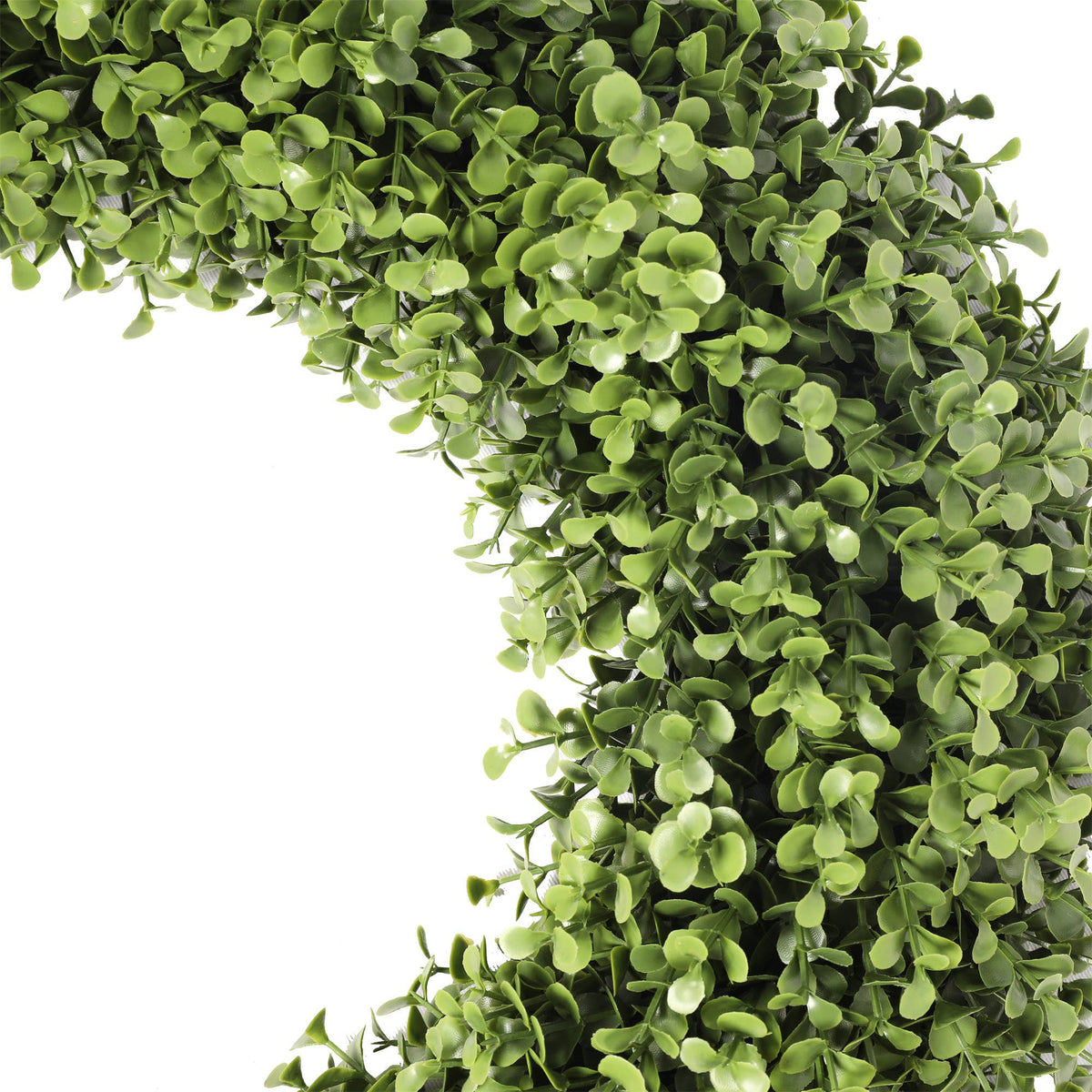 Boxwood Wreath (19 Inch)