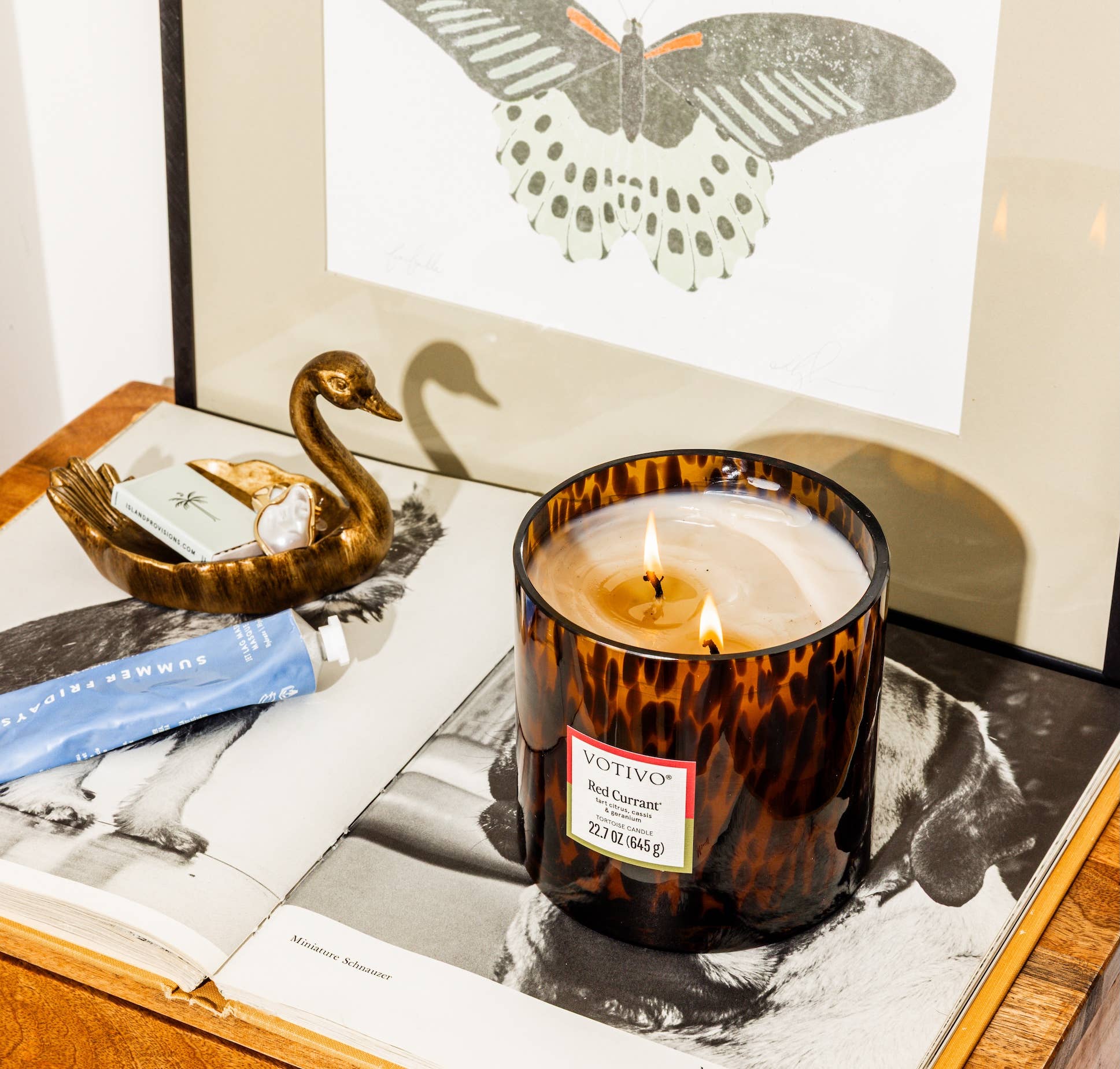 Red Currant Tortoise Candle | Mother's Day Gift