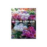 Blooms & Dreams - by Misha Gillingham (Hardcover)