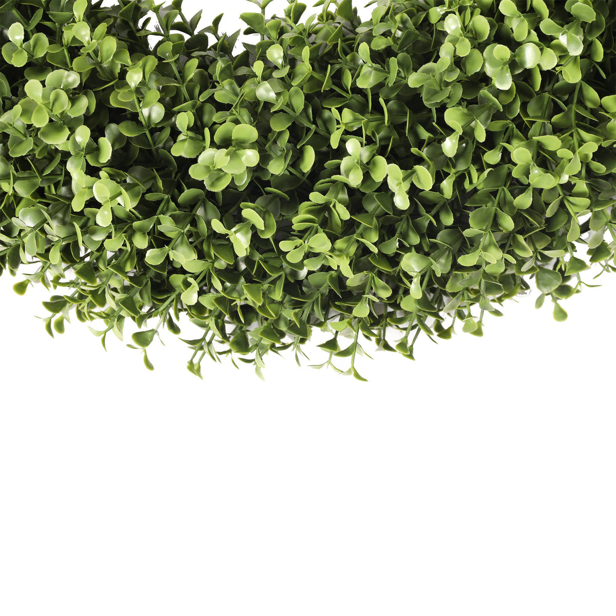 Boxwood Wreath (19 Inch)